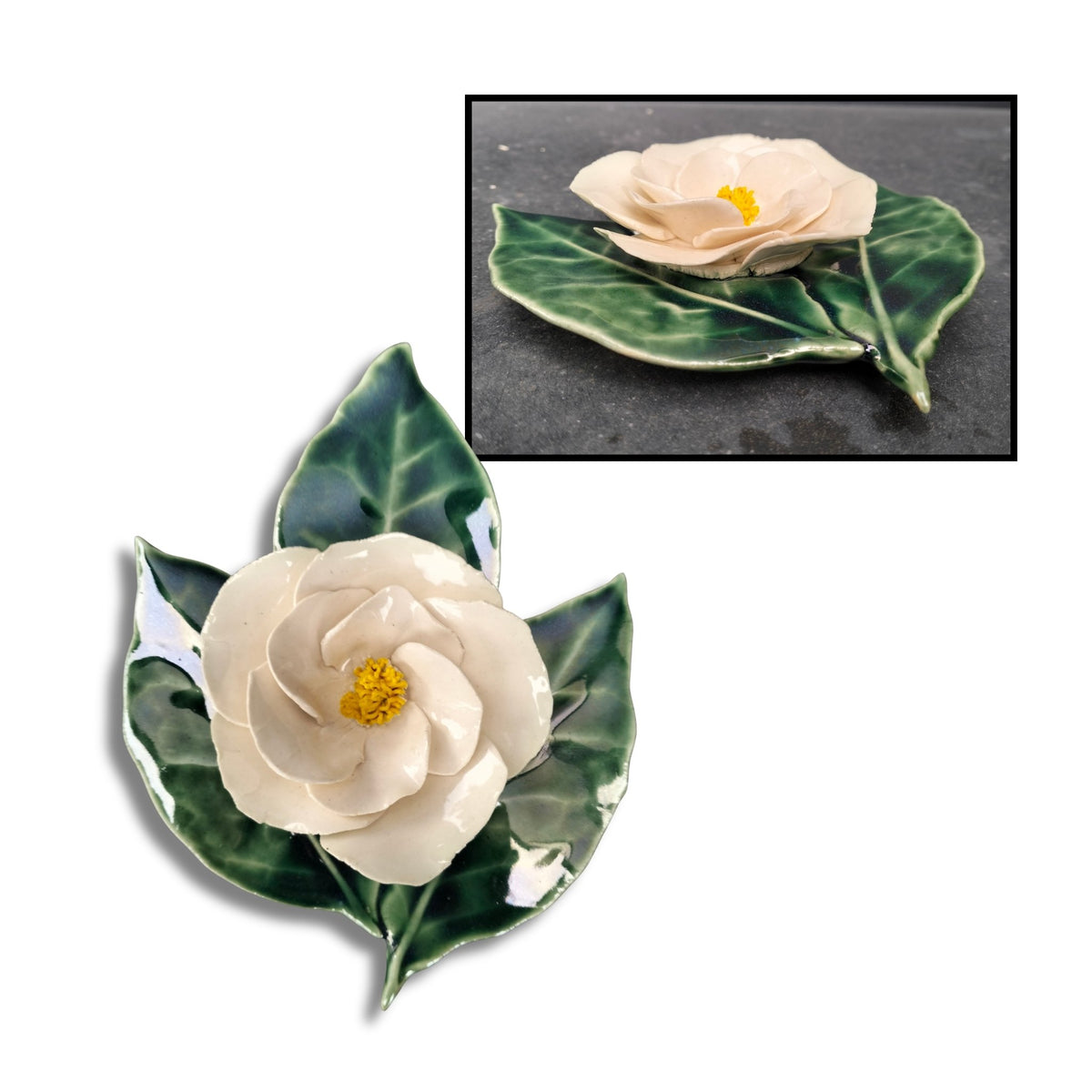 Camellia Wall Flower