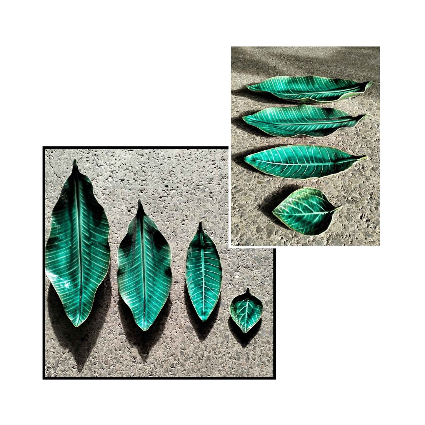 Various Sizes Leaves