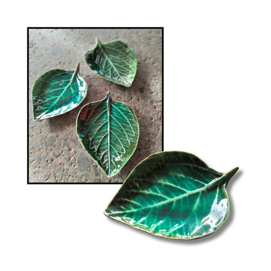 Various Sizes Leaves