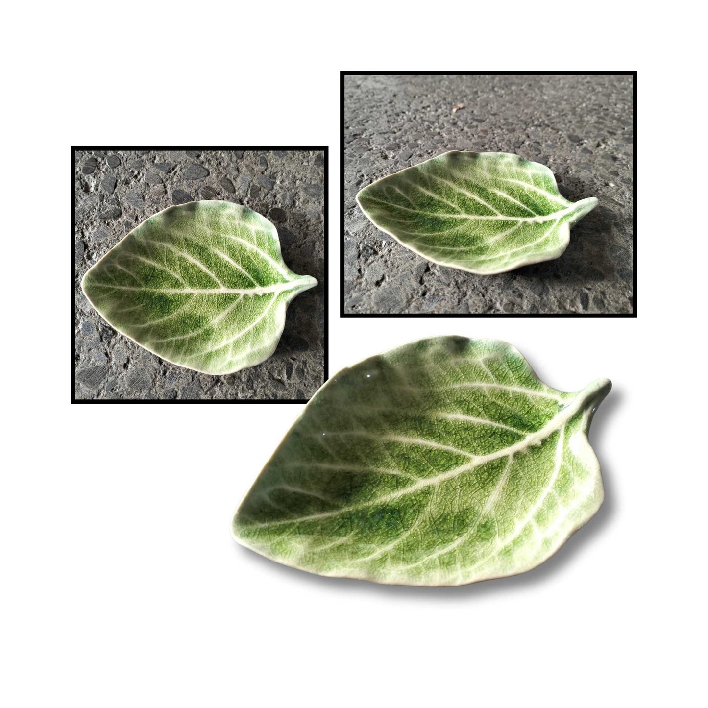 Various Sizes Leaves