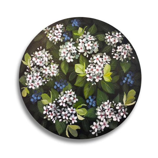 Indian Hawthorn floral painting by Susan Vorster