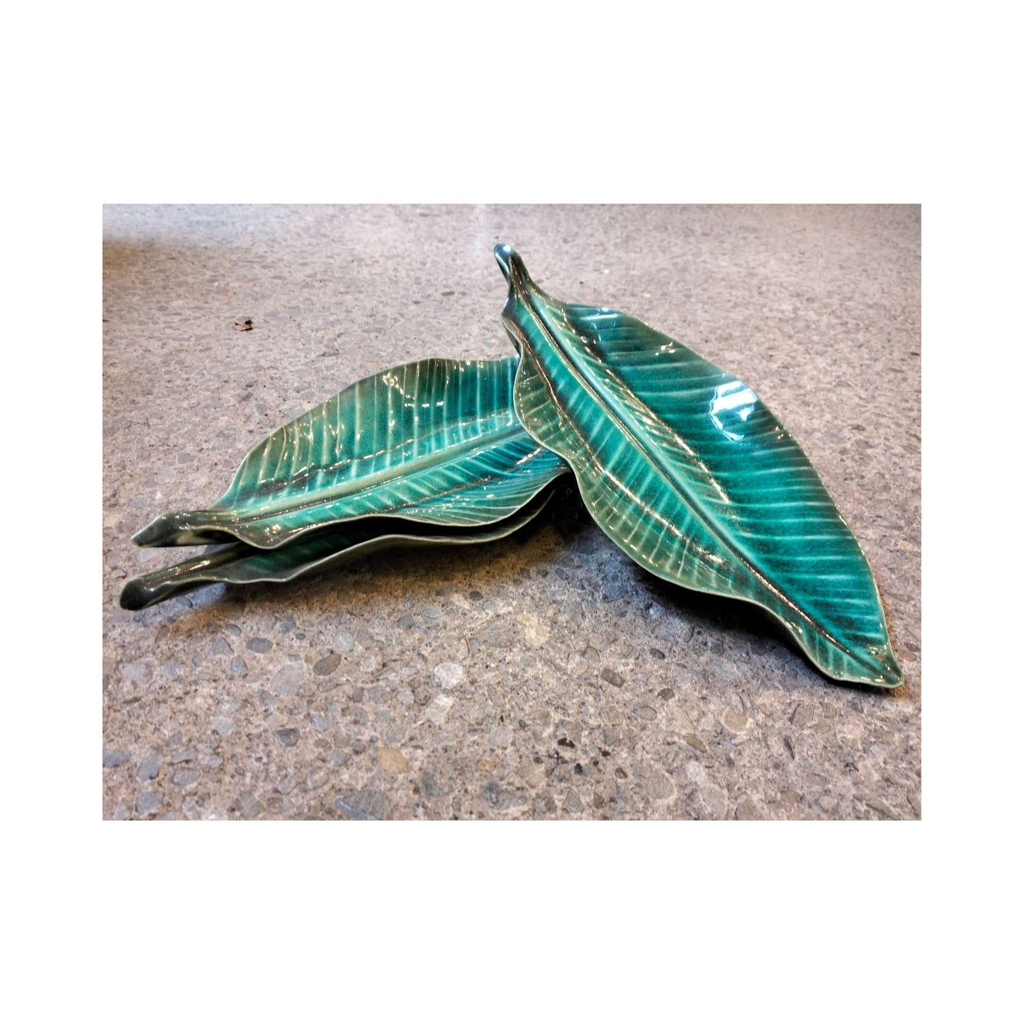Various Sizes Leaves