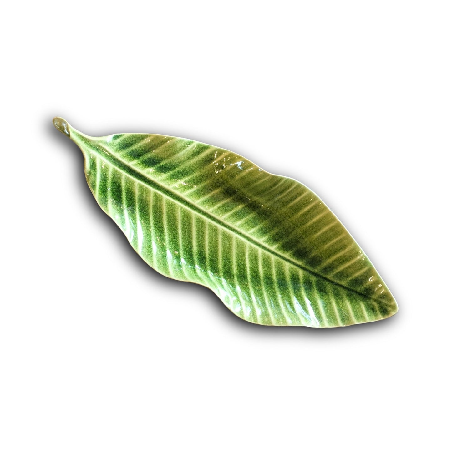 Various Sizes Leaves
