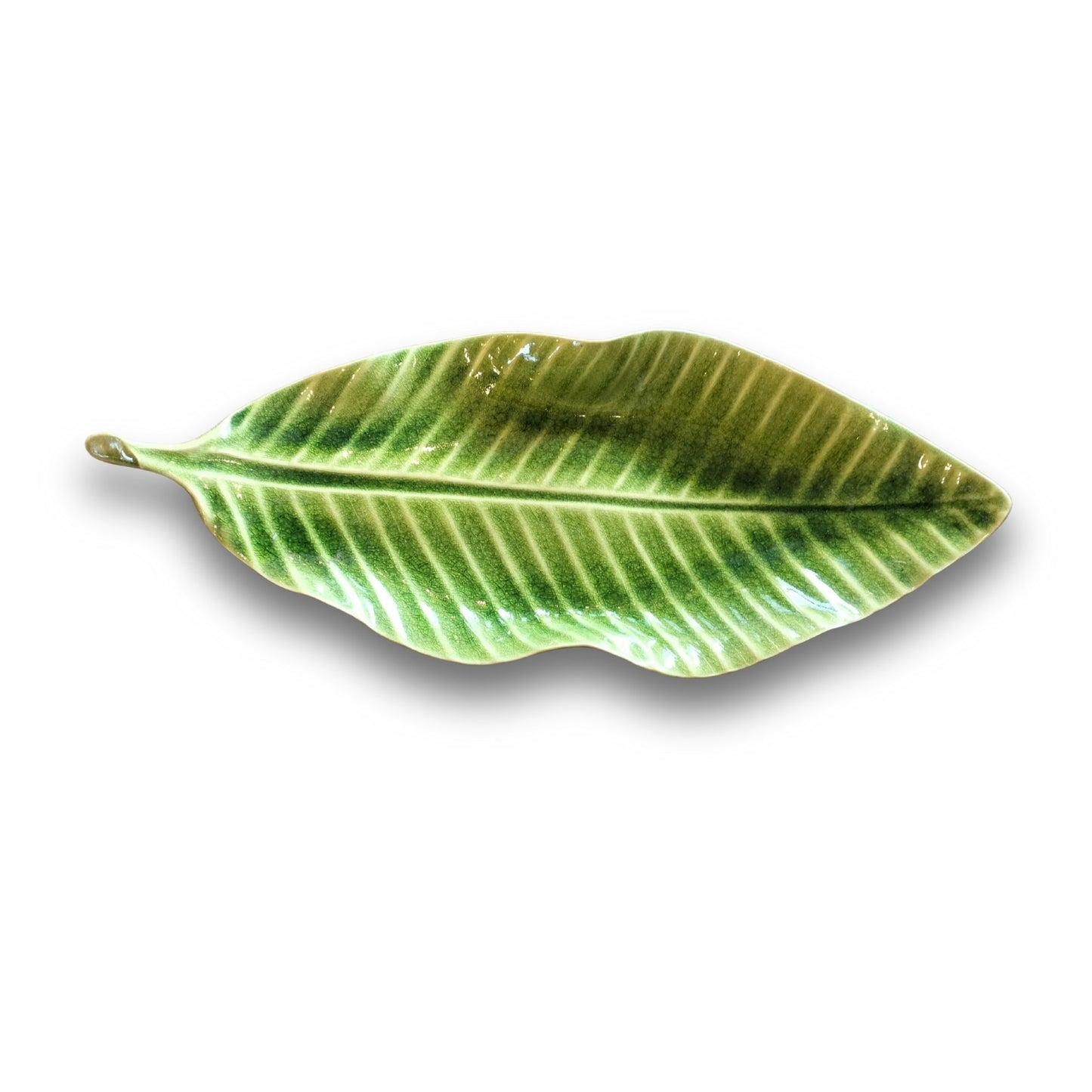 Various Sizes Leaves