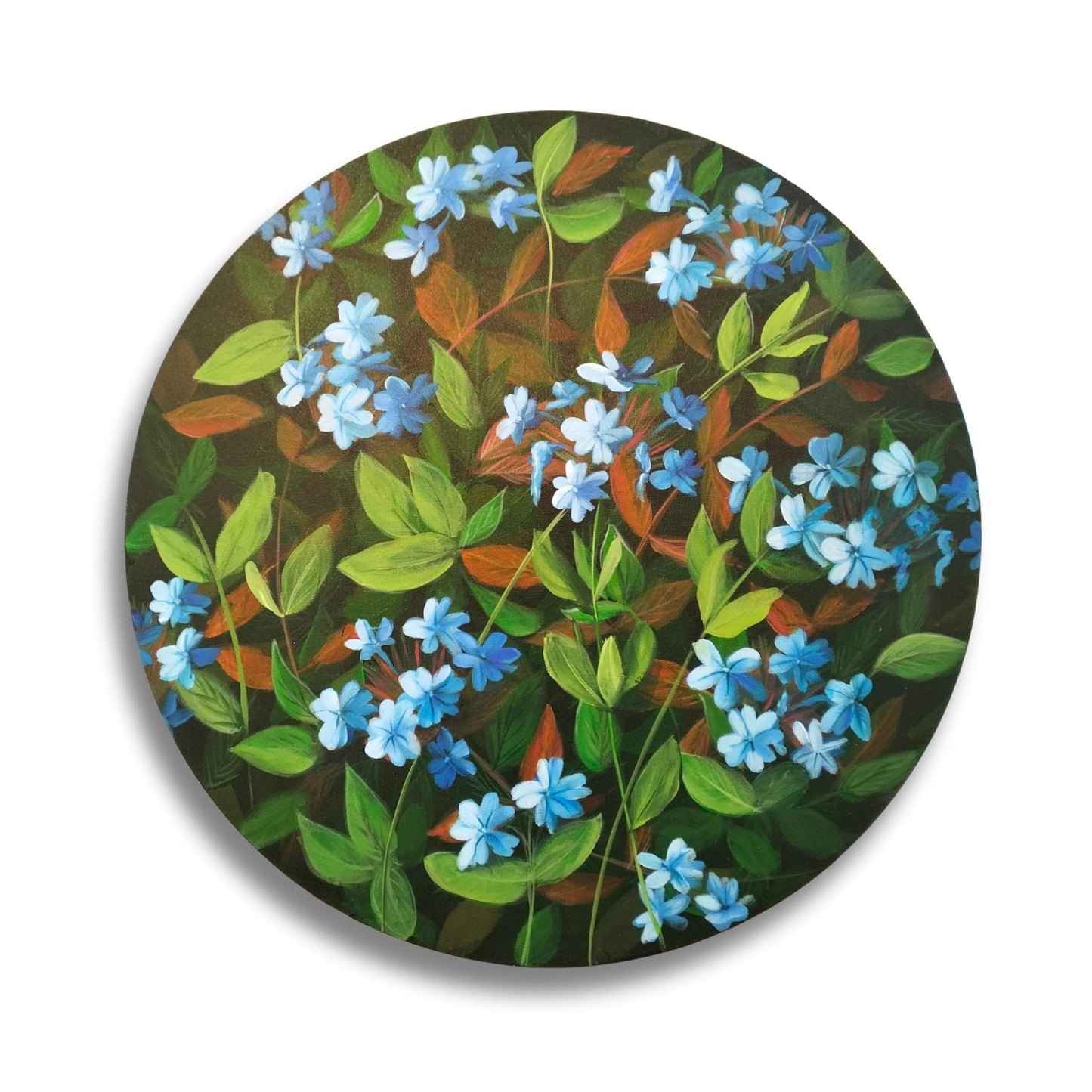 Plumbago Veil floral painting by Susan Vorster in layered acrylics