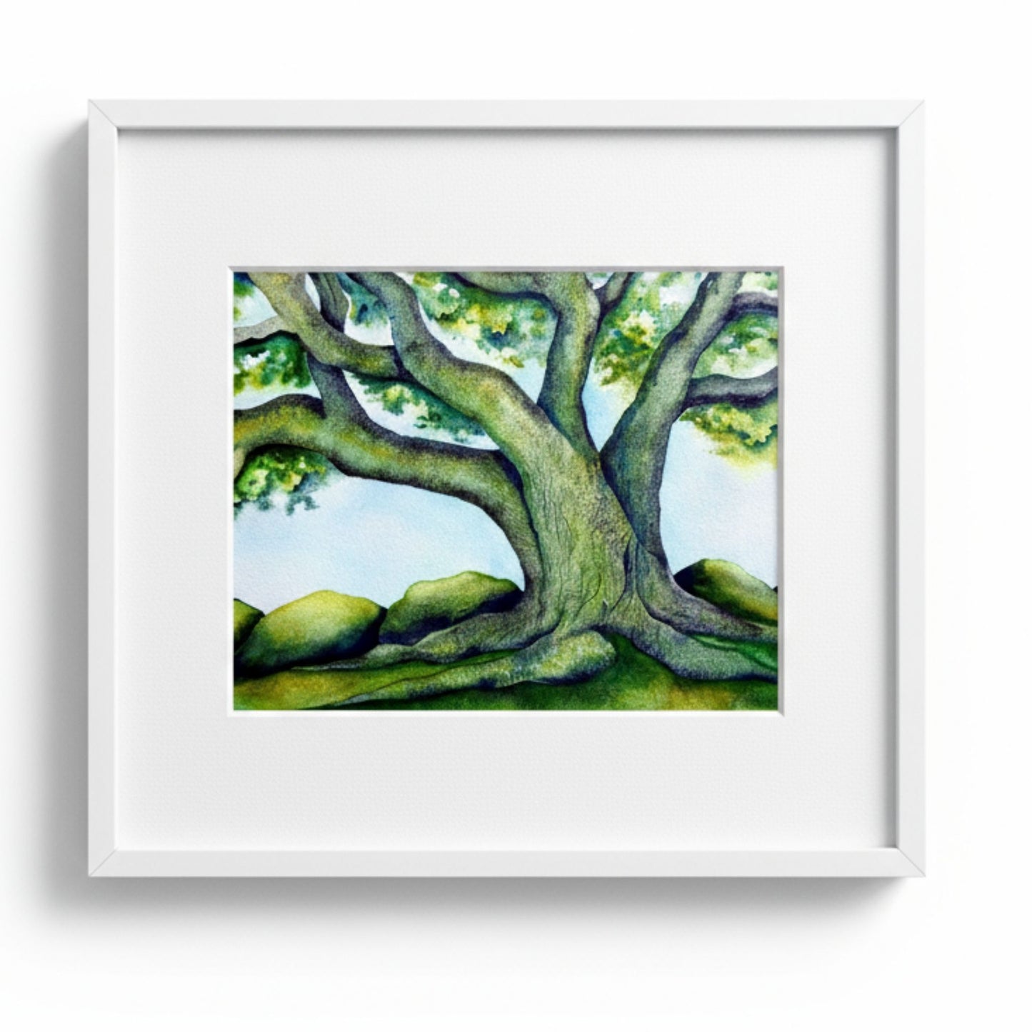 Sentinel - watercolor painting by Raewyn Harris featuring a majestic tree with spreading branches and lush green foliage against rolling green hills and soft blue sky, displayed in white mat and white frame