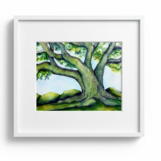 Sentinel - watercolor painting by Raewyn Harris featuring a majestic tree with spreading branches and lush green foliage against rolling green hills and soft blue sky, displayed in white mat and white frame