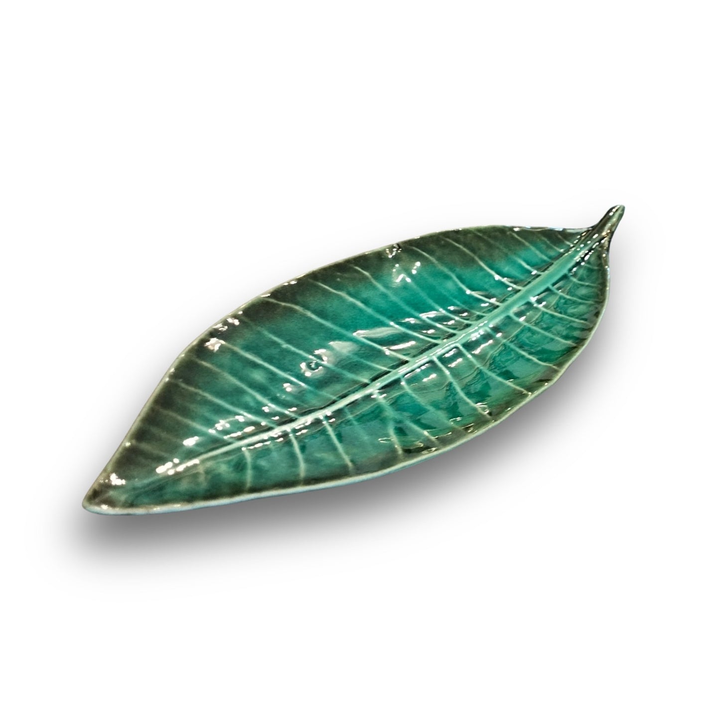Various Sizes Leaves