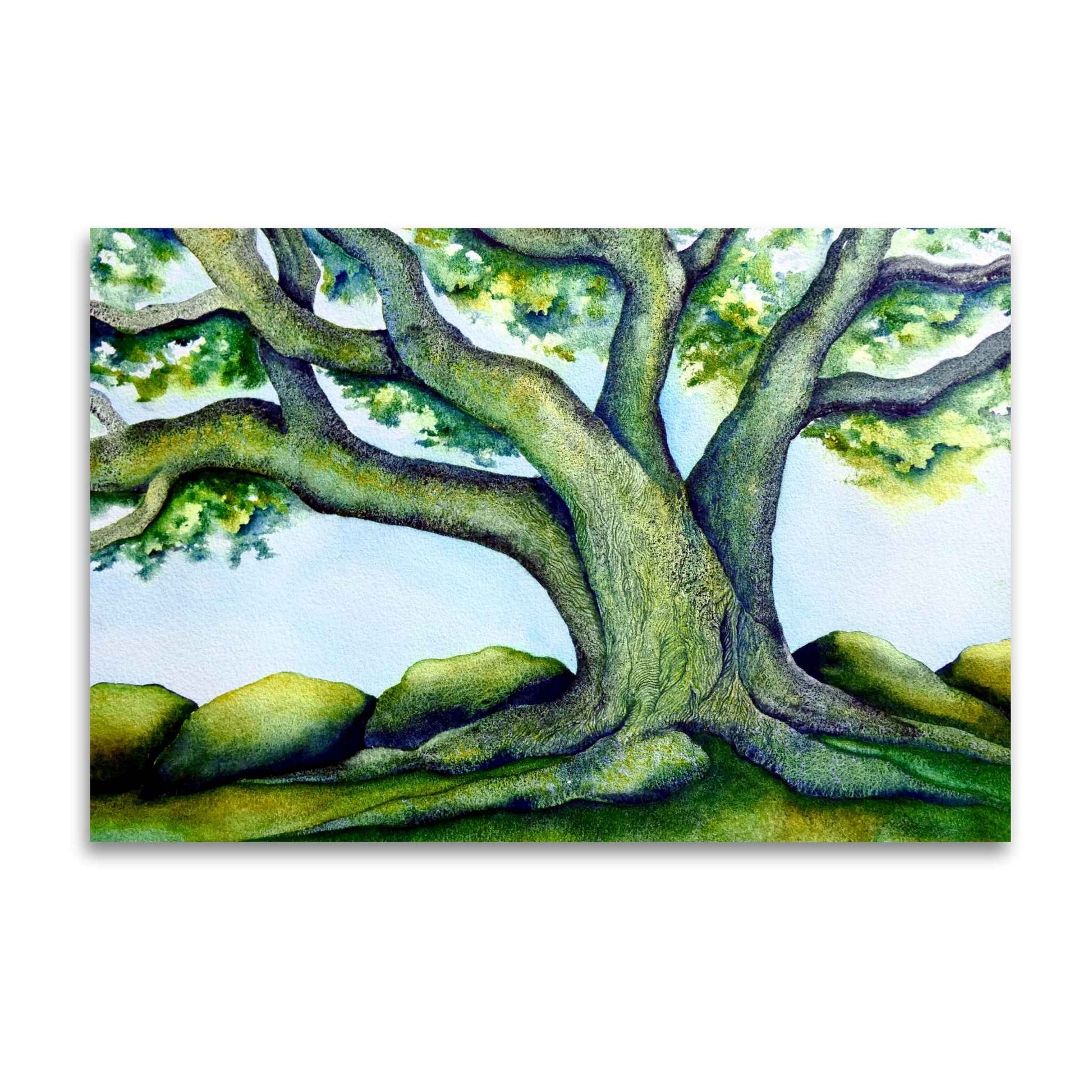 Close-up of Raewyn Harris’s "Sentinel" showing delicate watercolour details of the tree and surrounding rocks on white background
