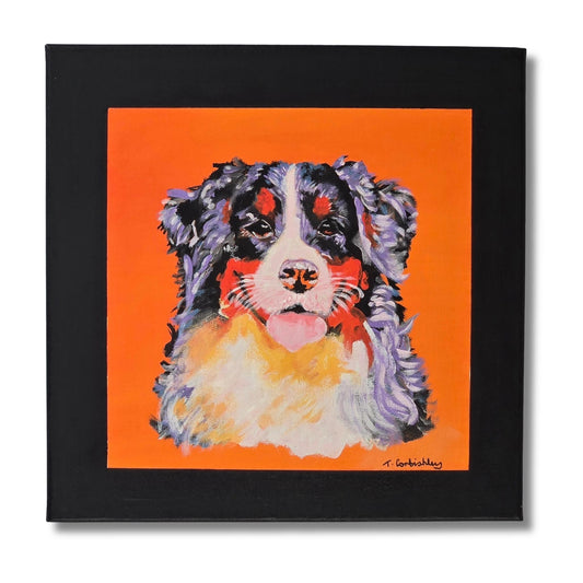 Bernese Mountain Dog puppy portrait painting by Teresa Corbishley with bold orange background and black frame
