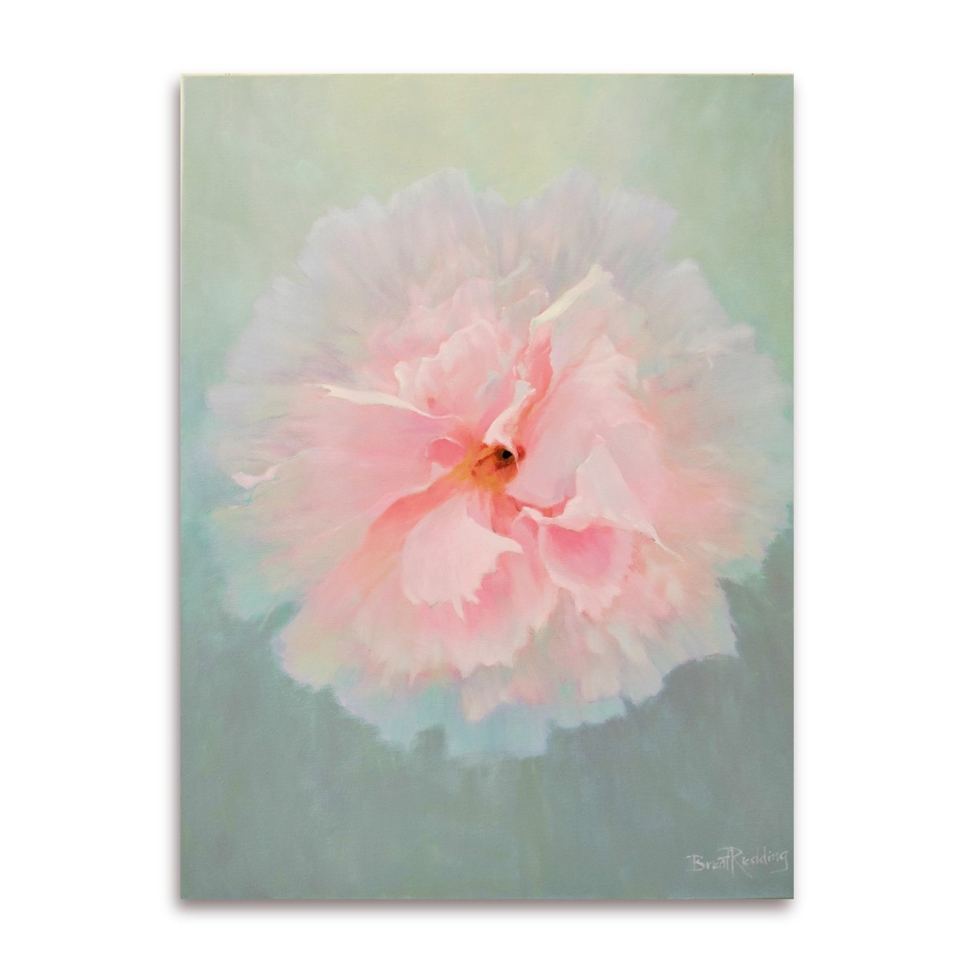 Original acrylic painting of a soft pink Peony flower by Brent Redding on neutral green-grey background – contemporary New Zealand art