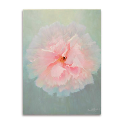 Original acrylic painting of a soft pink Peony flower by Brent Redding on neutral green-grey background – contemporary New Zealand art