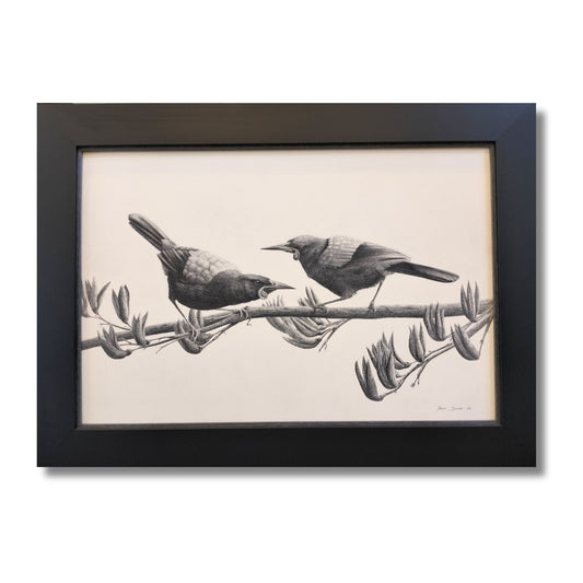 Framed pencil and charcoal drawing of two saddleback birds perched on barbed wire in black frame