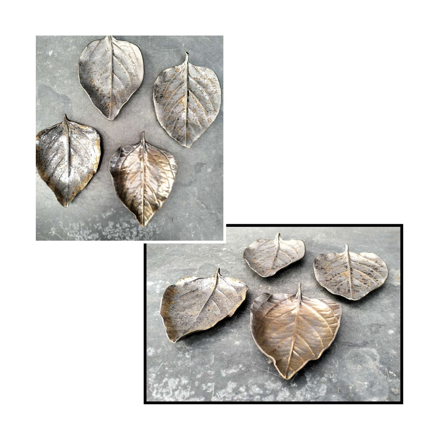 Various Sizes Leaves