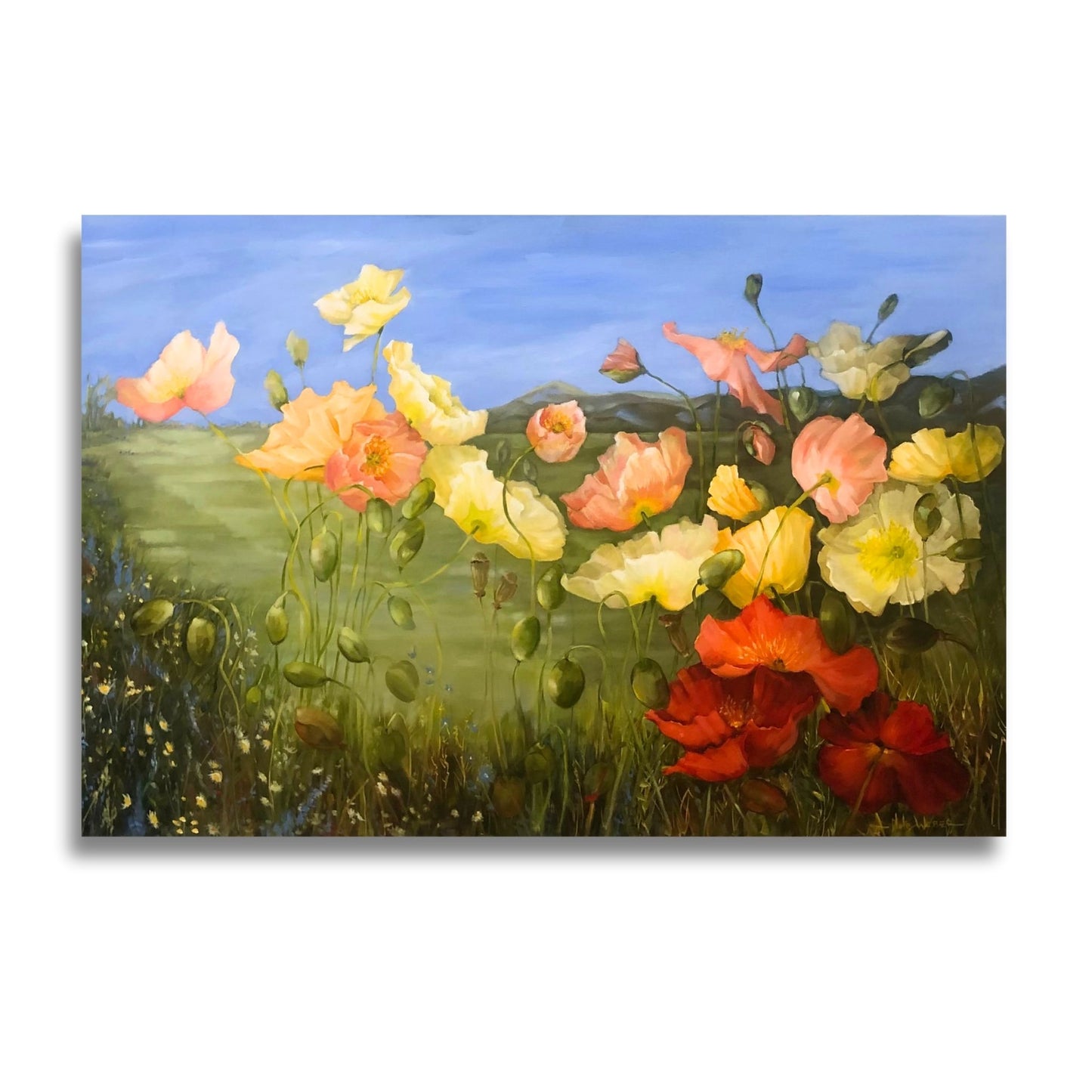 Country Garden by Nola Weber – original floral landscape oil painting on canvas, shown on a white background.