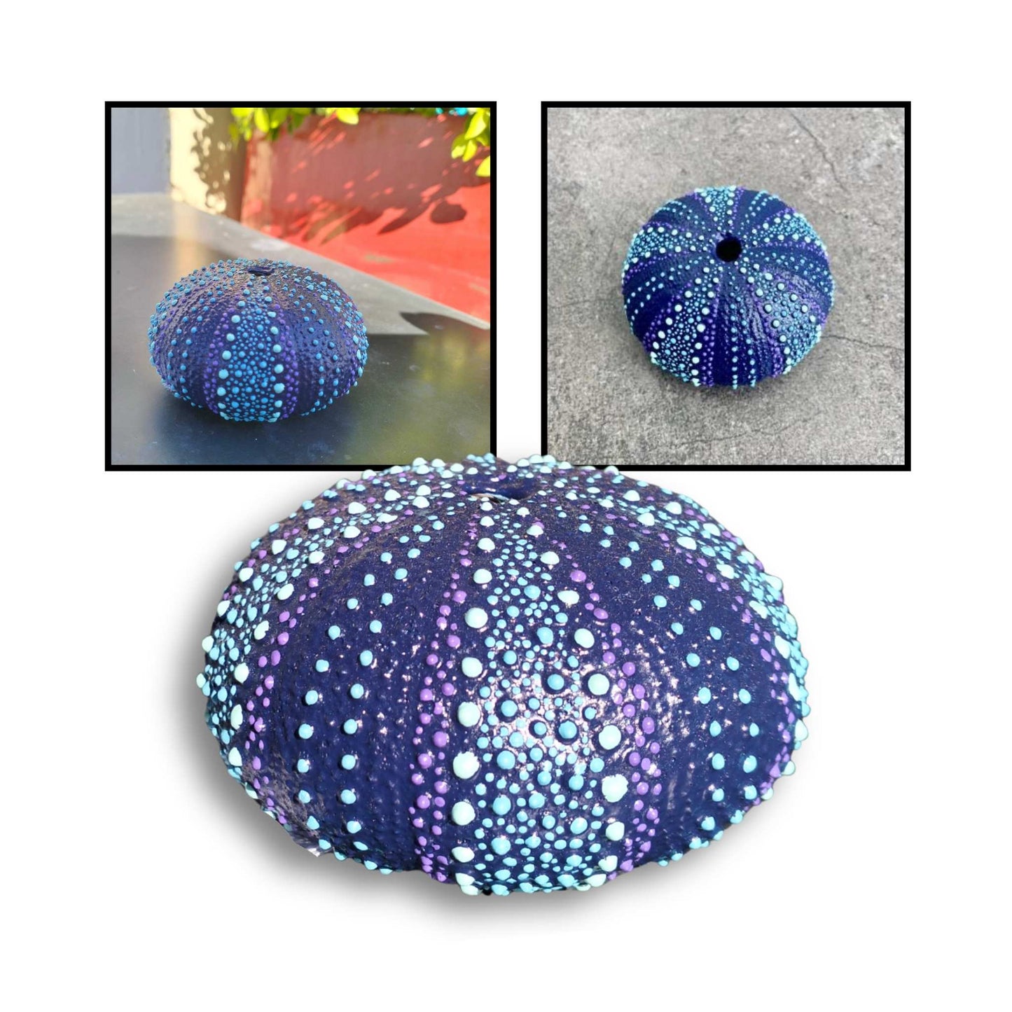 Dark blue, turquoise, and soft blue painted kina shell by Steffi Tregenna.