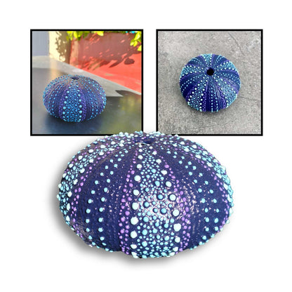 Dark blue, turquoise, and soft blue painted kina shell by Steffi Tregenna.
