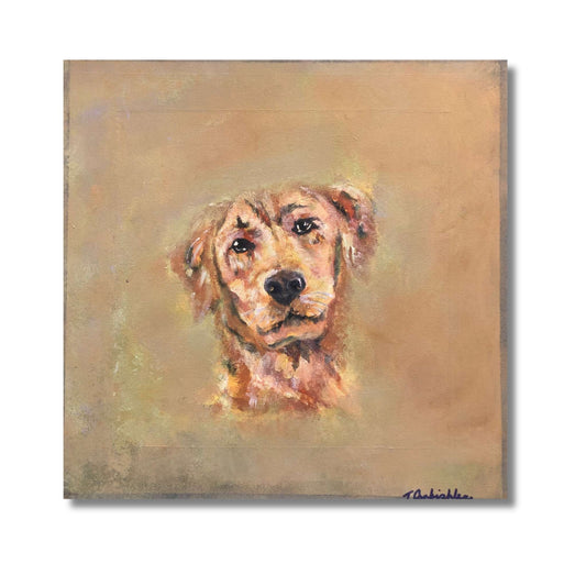 Dog Portrait II