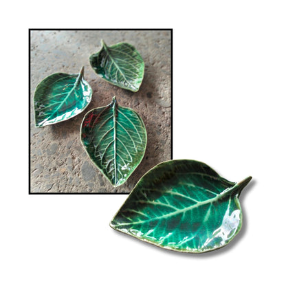 Various Sizes Leaves