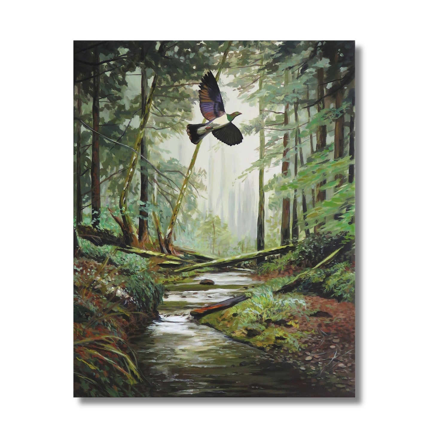 Acrylic painting of a kereru wood pigeon in flight through a misty New Zealand forest with a stream below by Vanessa Owens, unframed canvas
