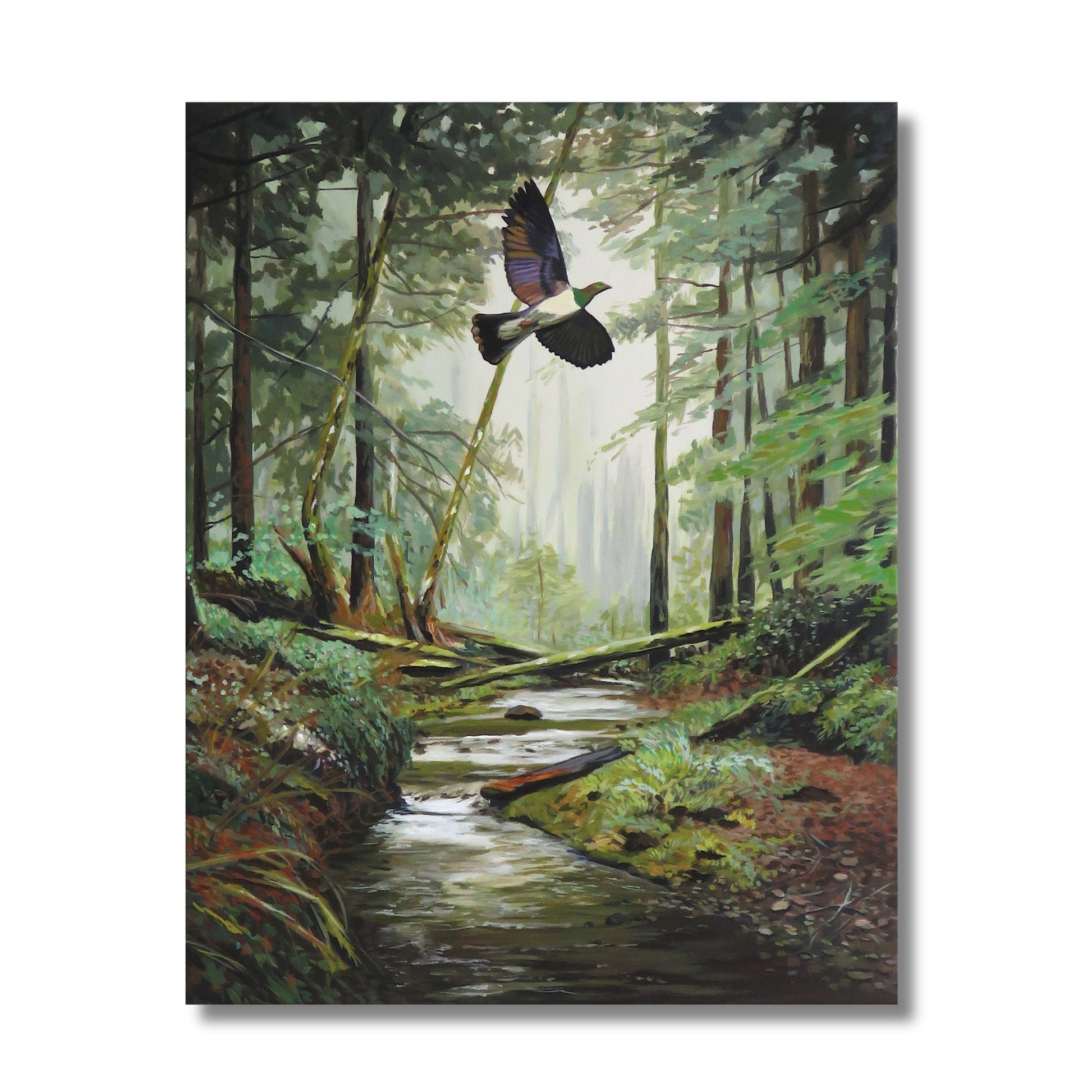 Acrylic painting of a kereru wood pigeon in flight through a misty New Zealand forest with a stream below by Vanessa Owens, unframed canvas
