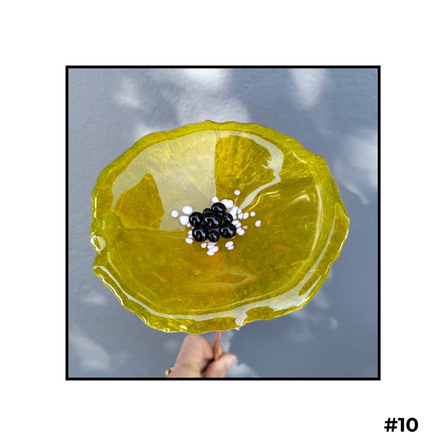 Glass Flowers