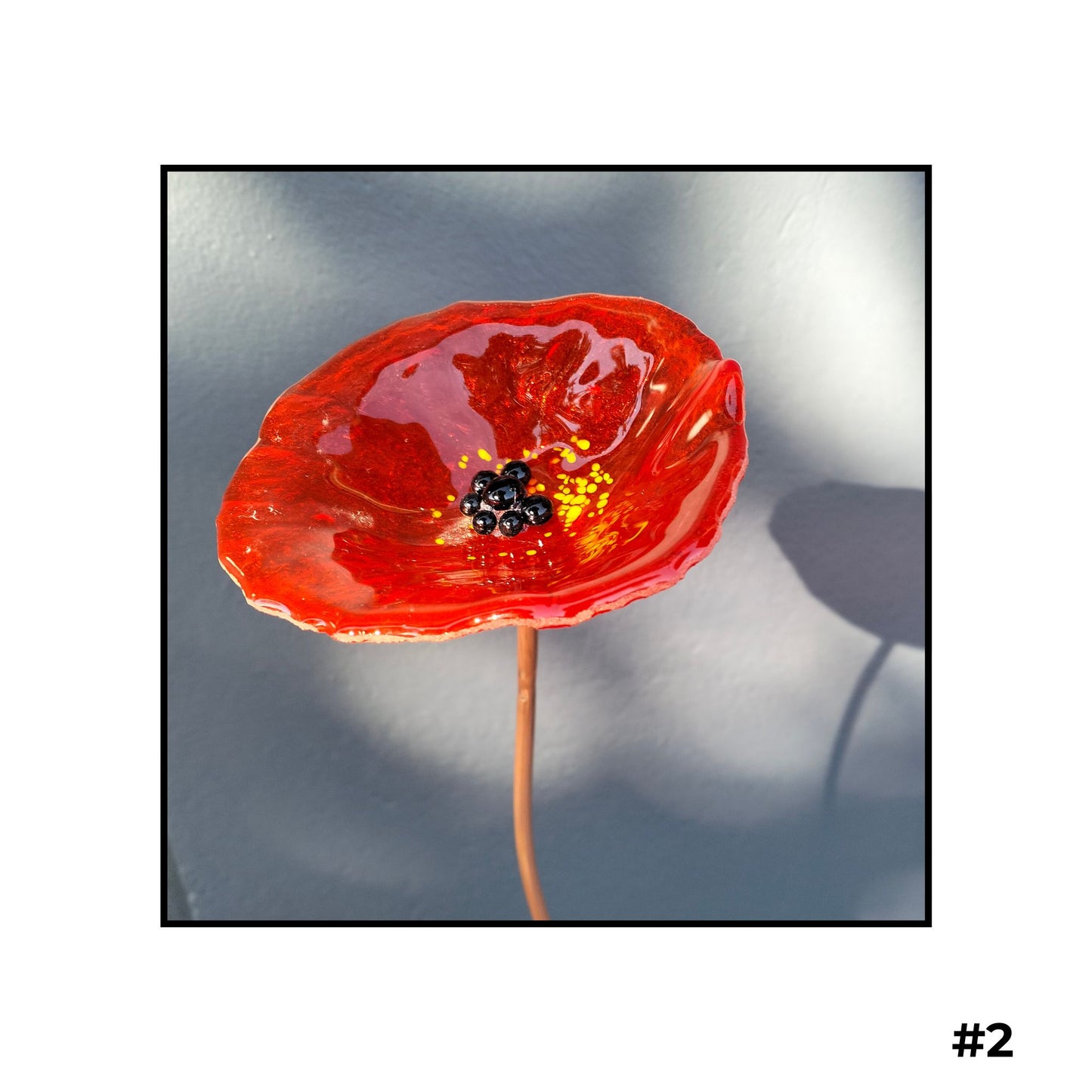 Glass Flowers