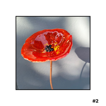 Glass Flowers