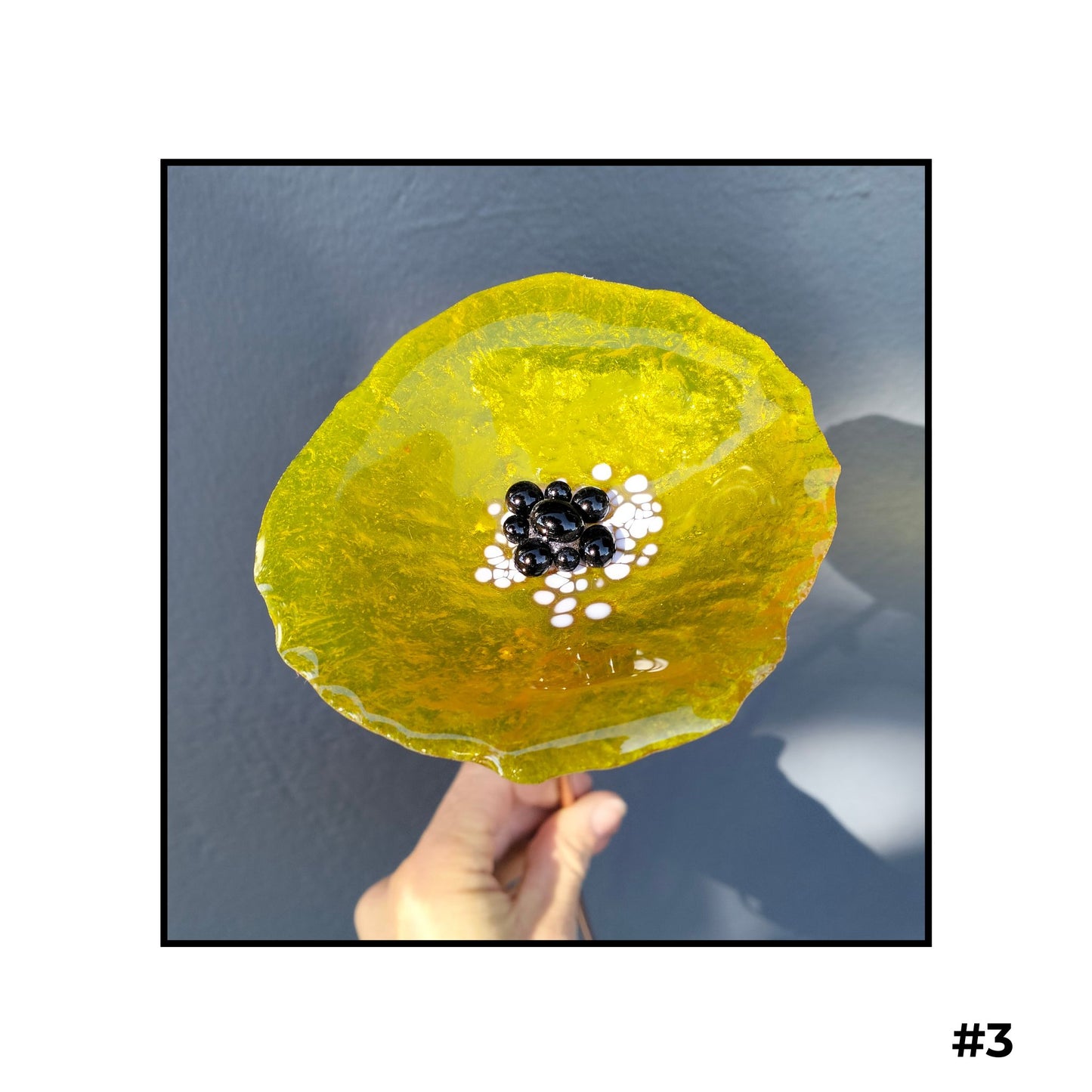 Glass Flowers