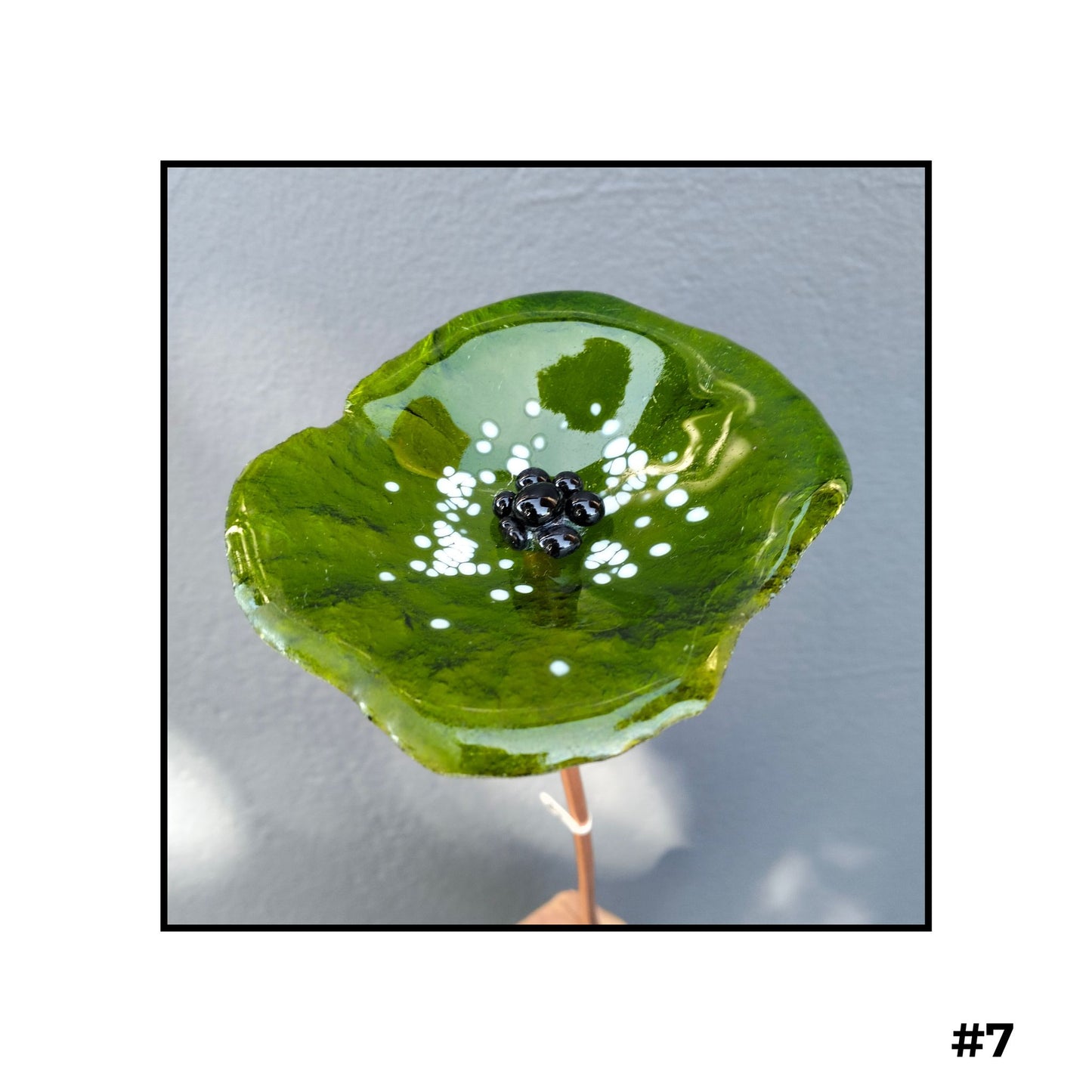Glass Flowers