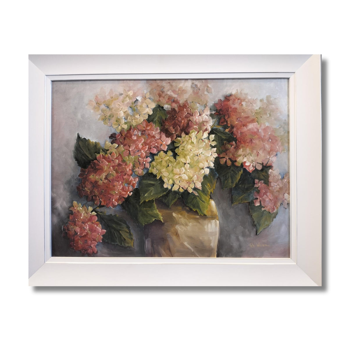 Hydrangea