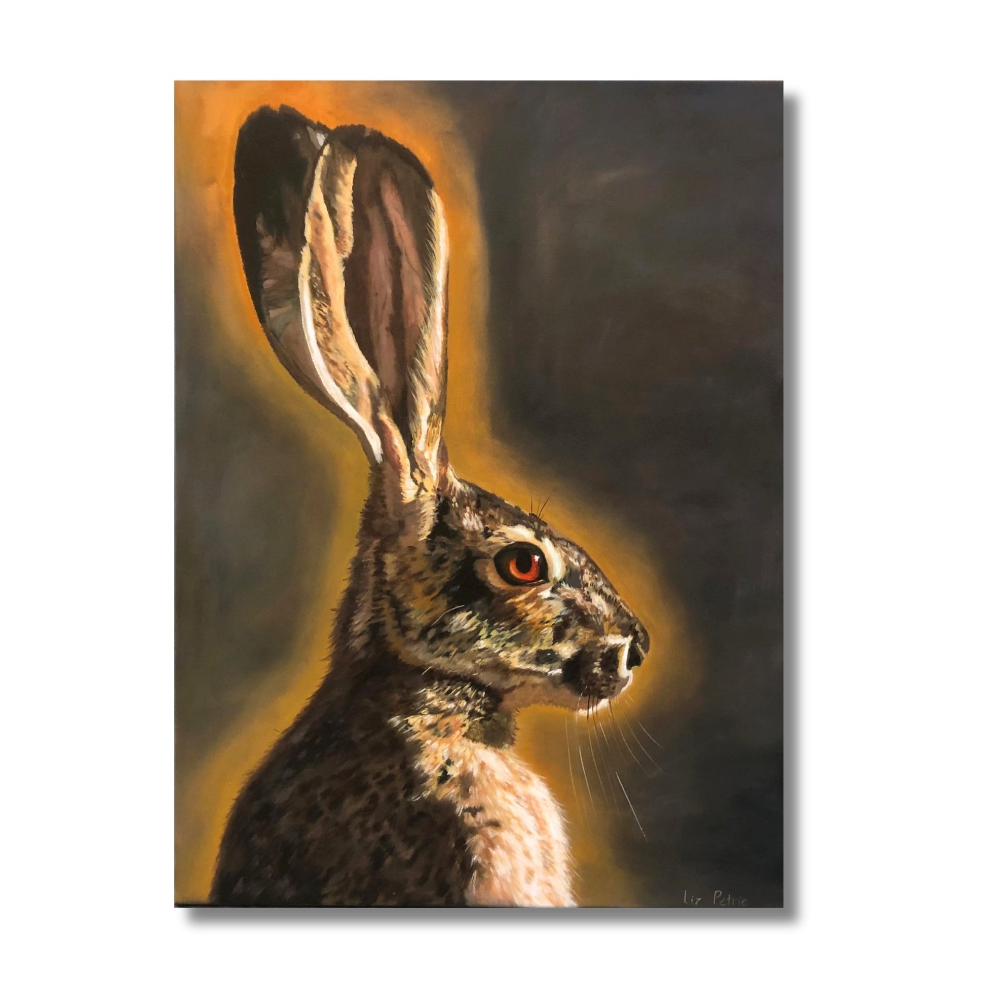 I See You hare portrait painting by Liz Petrie showing detailed hare profile with red eye against golden glowing background
