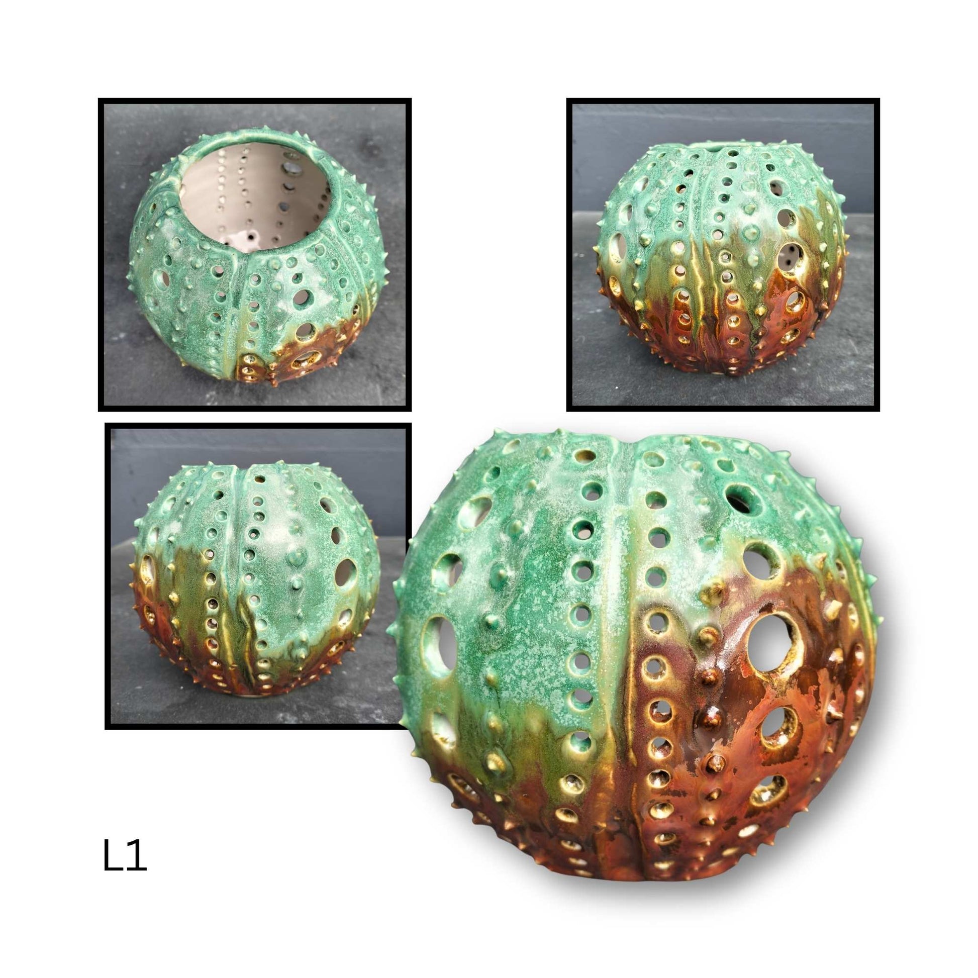 Close-up of a green and brown sea urchin shell with detailed texture.