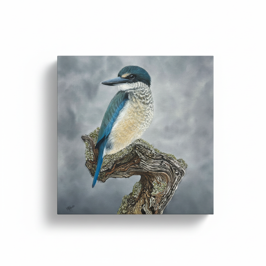 Kotare - NZ Kingfisher Canvas - Larger
