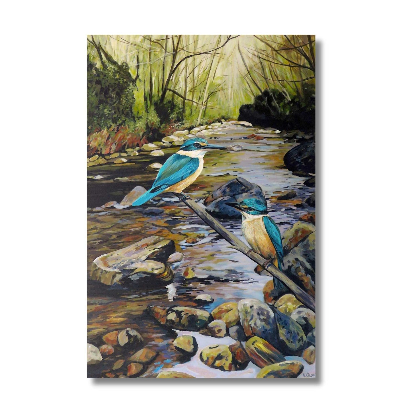 Acrylic painting of two NZ kingfishers perched on a branch over a rocky river by Kapiti Coast artist Vanessa Owens, unframed canvas
