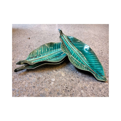 Various Sizes Leaves