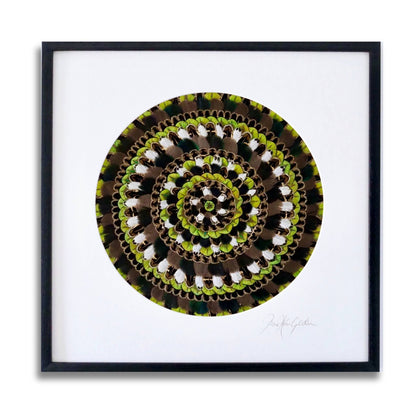 Framed circular feather mandala wall artwork by Fiona Kerr Gedson in earthy greens and whites