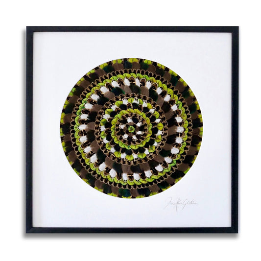 Framed circular feather mandala wall artwork by Fiona Kerr Gedson in earthy greens and whites