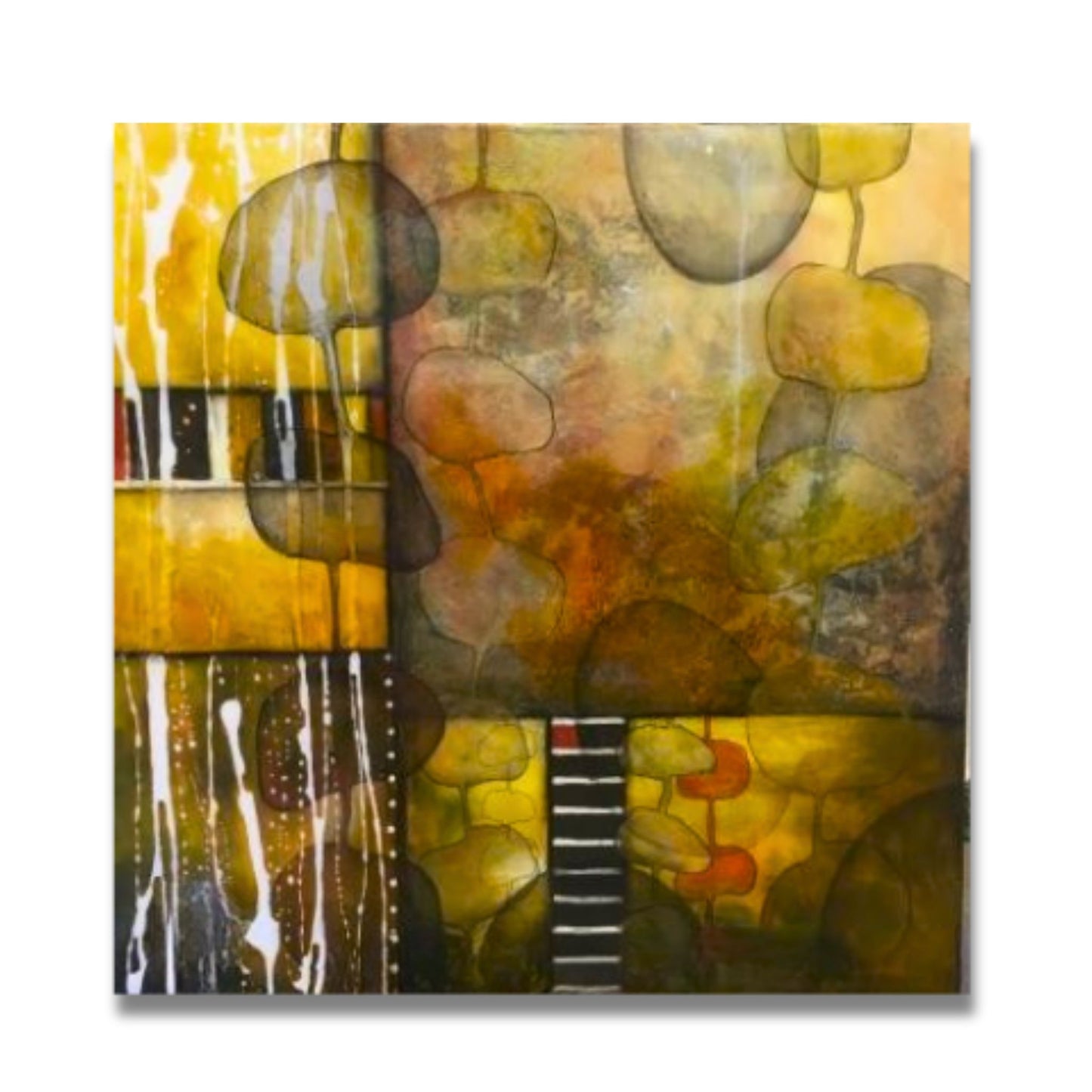 Original abstract square acrylic painting with resin finish in golden amber, ochre and earth tones with soft rounded floating forms and white drip details, by New Zealand artist Clare Wilcox, 76 × 76cm.
