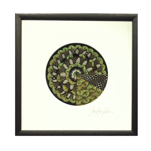 Framed mini mandala artwork made of feathers, in a circular design with green and brown colors on a white background.