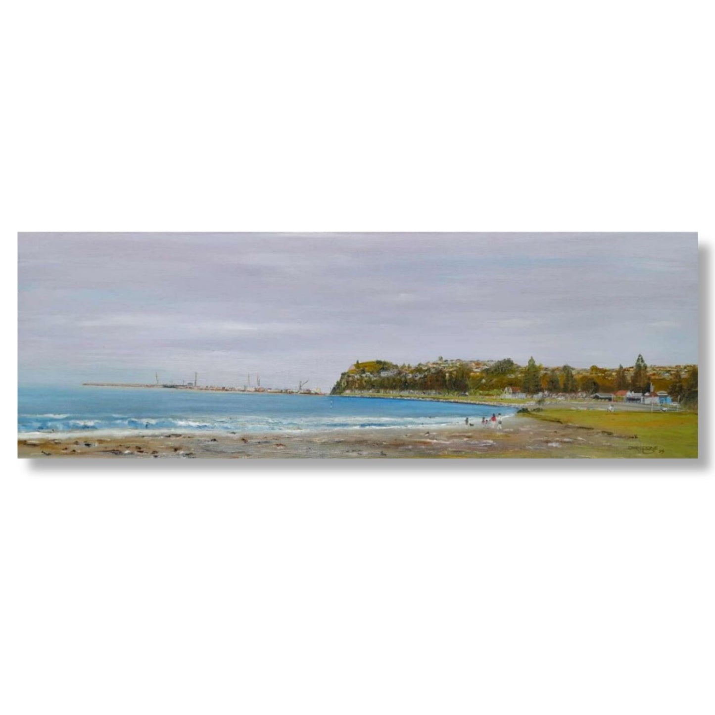 Panoramic view of a Napier Port scene with the beach and ocean.