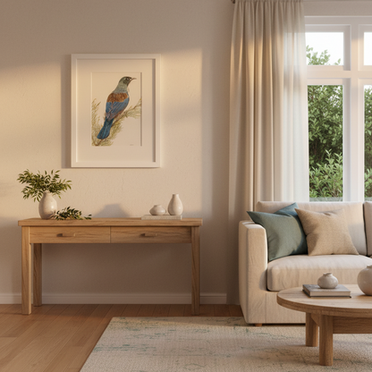 New Zealand Tui in Home Setting