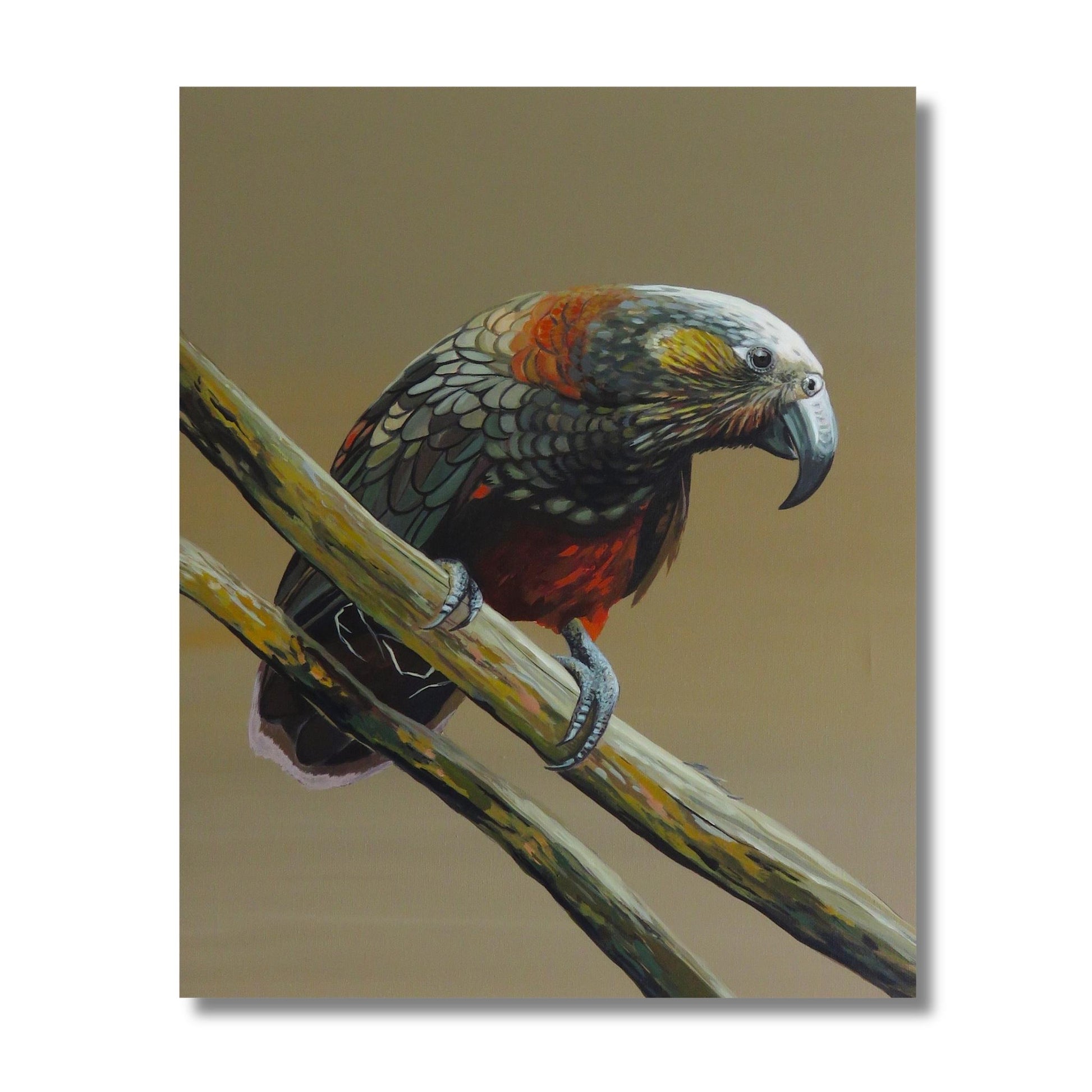 Acrylic painting of a New Zealand kaka parrot perched on a branch by Kapiti Coast artist Vanessa Owens, unframed canvas
