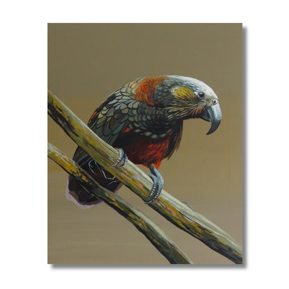 Acrylic painting of a New Zealand kaka parrot perched on a branch by Kapiti Coast artist Vanessa Owens, unframed canvas
