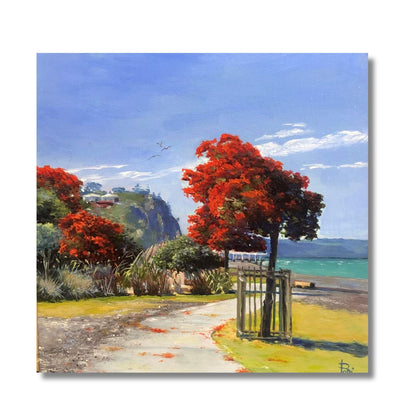 Pohutukawa Promenade