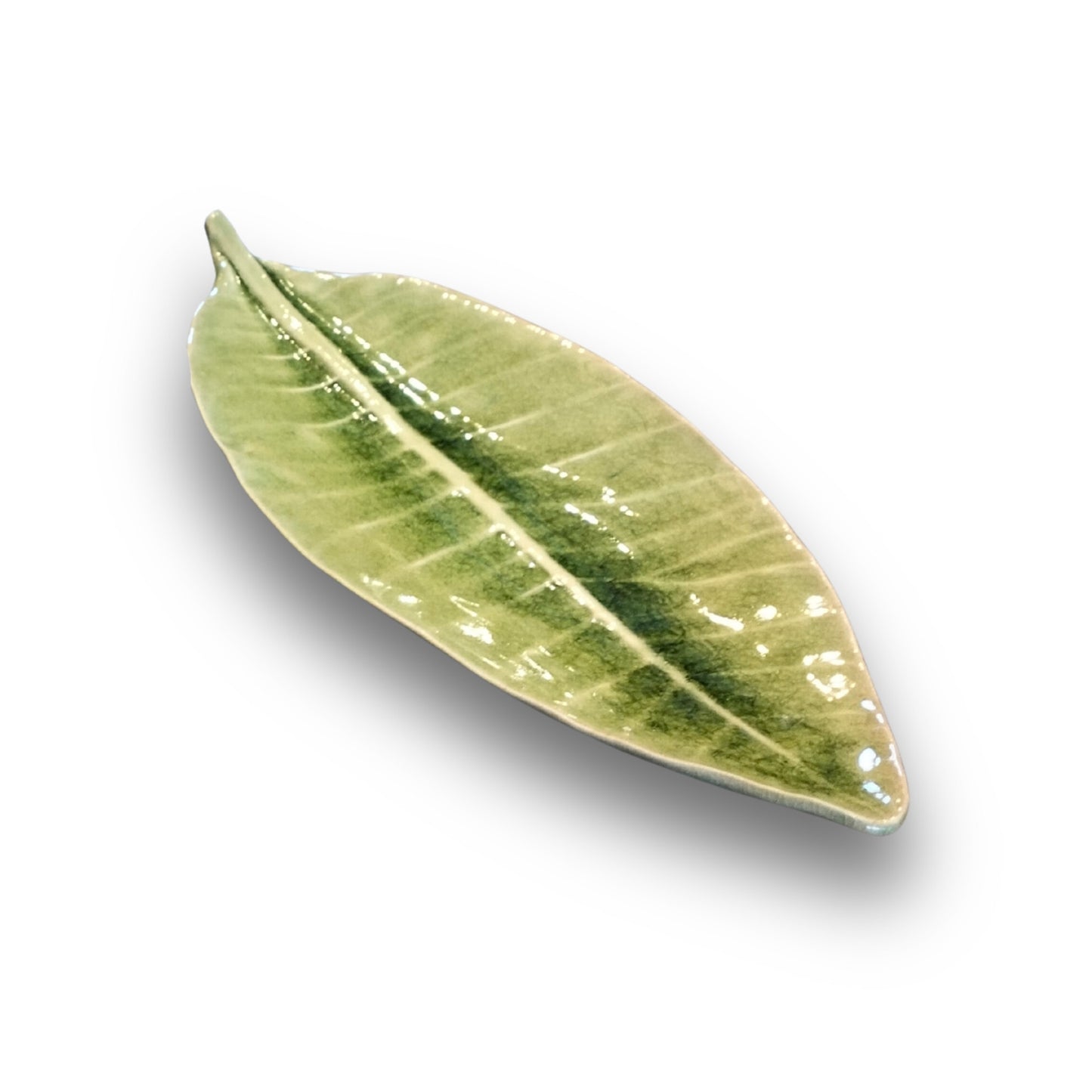 Various Sizes Leaves