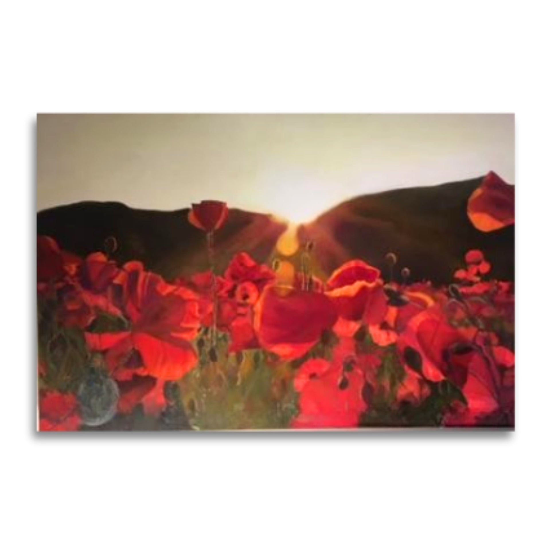 Acrylic landscape painting ‘Tall Poppy’ by Janice Corbishley showing  sunlight shining through a field of poppies with a dark distant hill and glowing sunset.