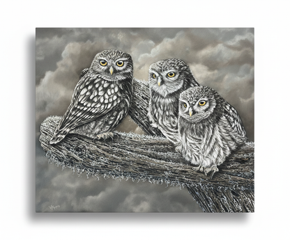 The Tree of Life - Owl Canvas, painting by Napier artist Wendy Monroe