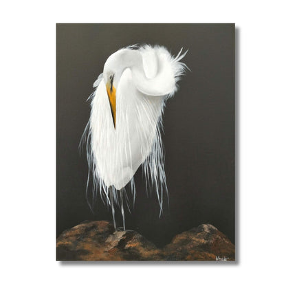 White Heron painting by Marion Aitken showing detailed white feathers against dark atmospheric background
