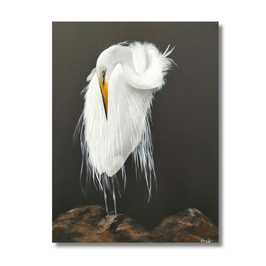 White Heron painting by Marion Aitken showing detailed white feathers against dark atmospheric background
